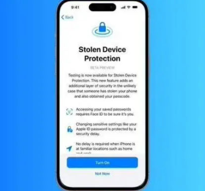 大名苹果授权维修店分享被盗设备保护功能开启方法 