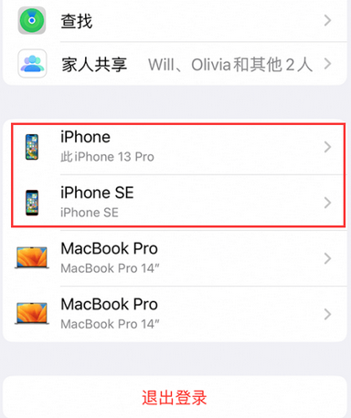 大名苹大名果维修网点分享iPhone如何查询序列号