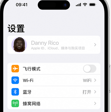 大名appleID维修服务iPhone设置中Apple ID显示为灰色无法使用 