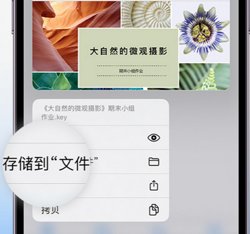 大名apple维修中心分享iPhone文件应用中存储和找到下载文件