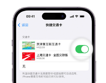 大名apple维修点分享iPhone上更换Apple Pay快捷交通卡手绘卡面 