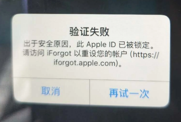 大名iPhone维修分享iPhone上正常登录或使用AppleID怎么办 