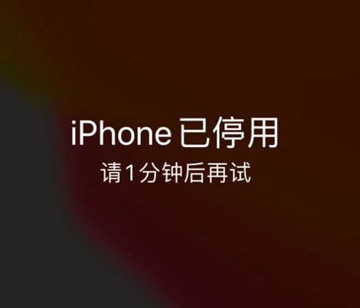 大名苹果手机维修分享:iPhone 显示“不可用”或“已停用”怎么办？还能保留数据吗？ 