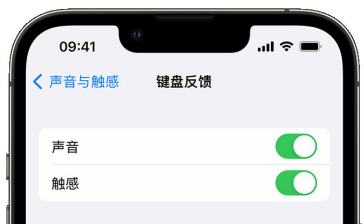 大名苹果手机维修分享iPhone 14触感键盘使用方法 