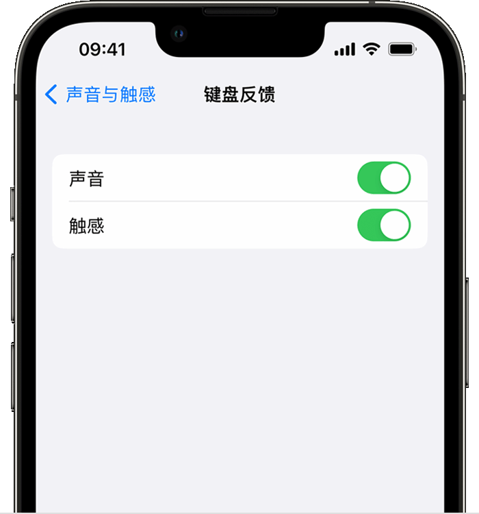 大名苹果14维修店分享如何在 iPhone 14 机型中使用触感键盘 