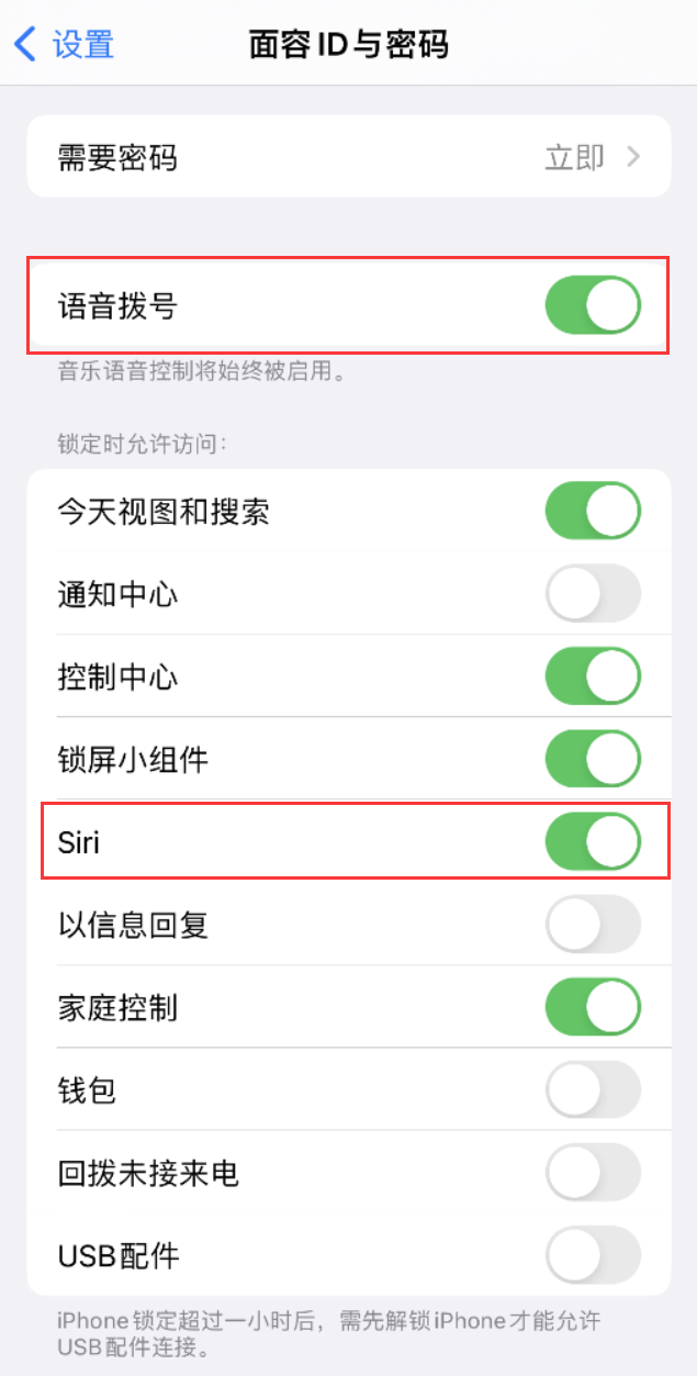 大名苹果维修网点分享不解锁 iPhone 的情况下通过 Siri 拨打电话的方法 