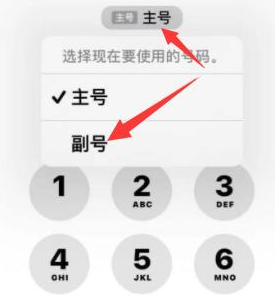 大名苹果14维修店分享iPhone 14 Pro Max使用副卡打电话的方法 