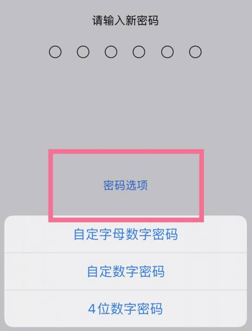 大名苹果14维修分享iPhone 14plus设置密码的方法 