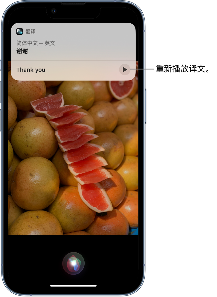 大名苹果14维修分享 iPhone 14 机型中使用 Siri：了解 Siri 能帮你做什么 