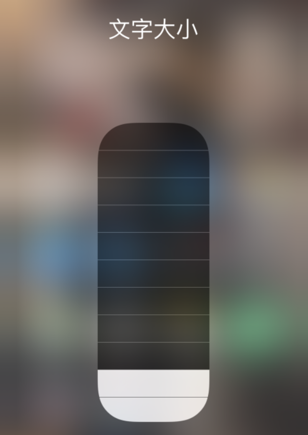 大名苹果手机维修分享小技巧：在 iPhone 控制中心快速调节字体大小 