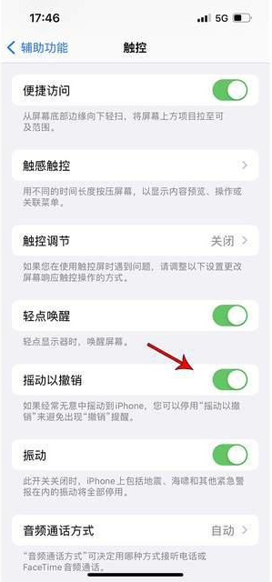 大名苹果手机维修分享iPhone手机如何设置摇一摇删除文字 